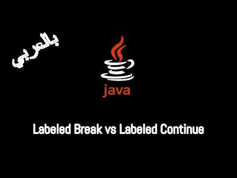 #017 [JAVA] - Branching Statements (Labeled Break / Labeled Continue)